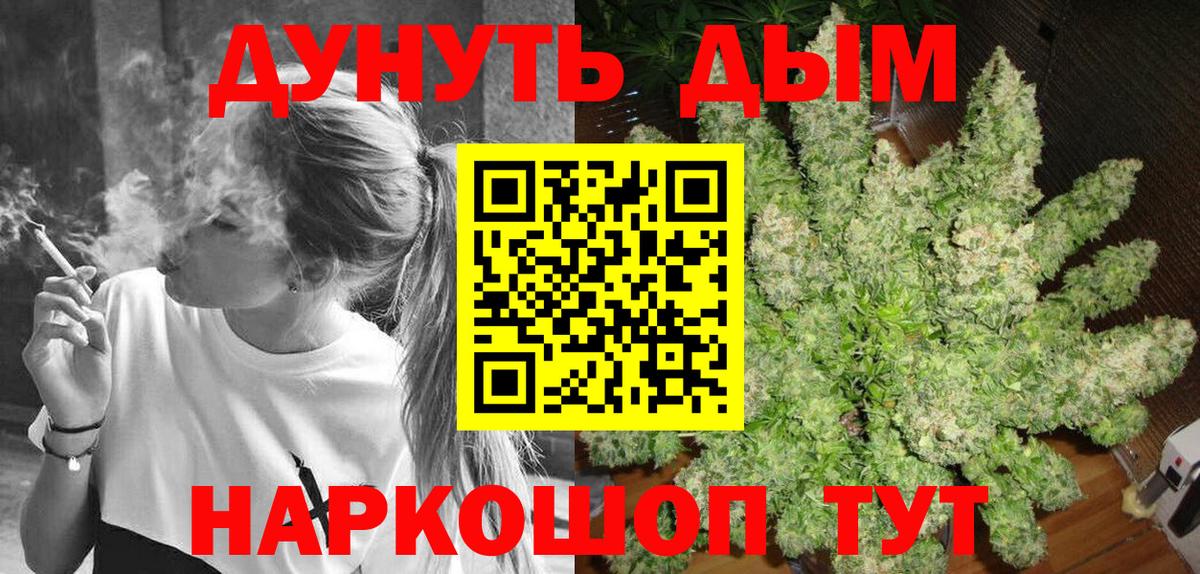 Бошки Шишки сатива Удомля